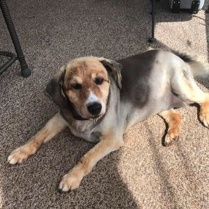 Meet your Posher, James